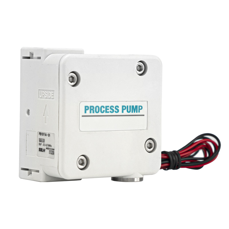 PB1011 protsessipump